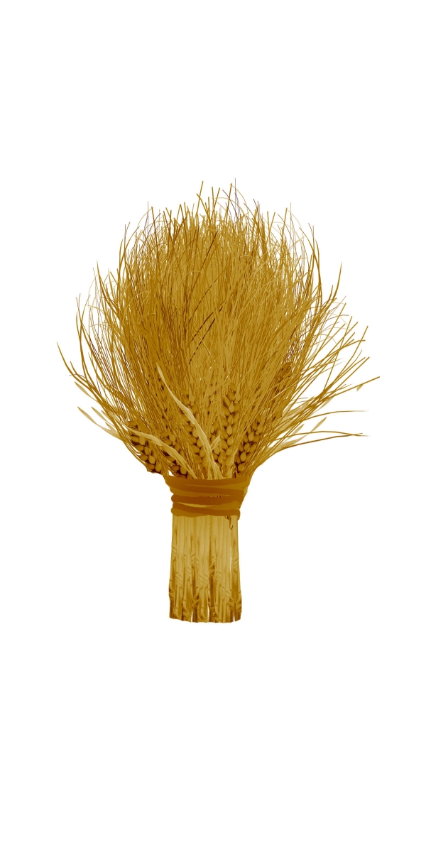 Creation of Lucky Wheat Bridal Bouquet: Step 8